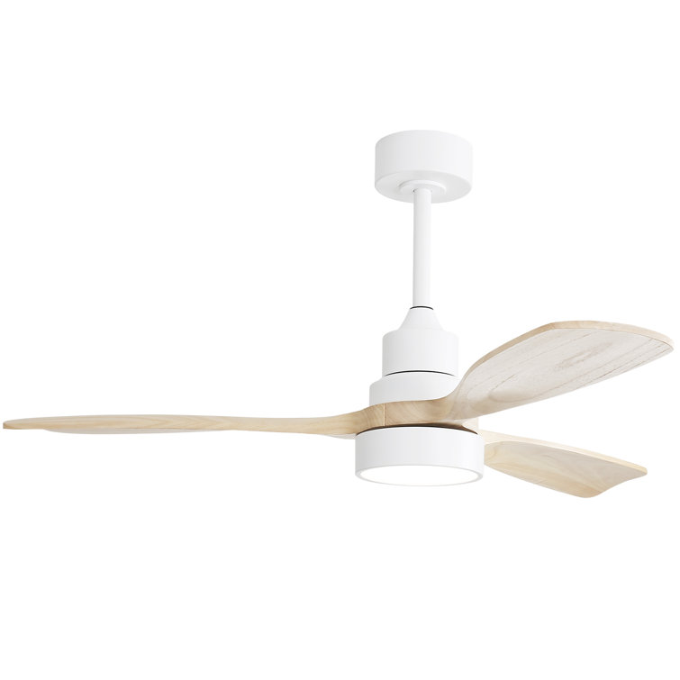 Nicola 48'' Ceiling Fan with LED Lights
